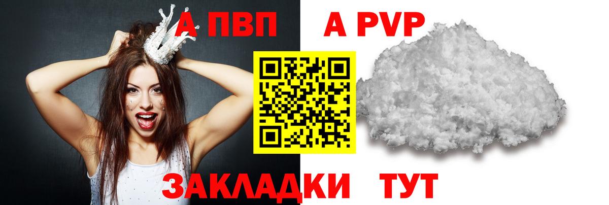 A PVP СК КРИС  как найти   Мурино  Alpha PVP крисы CK  Вход с VPN 