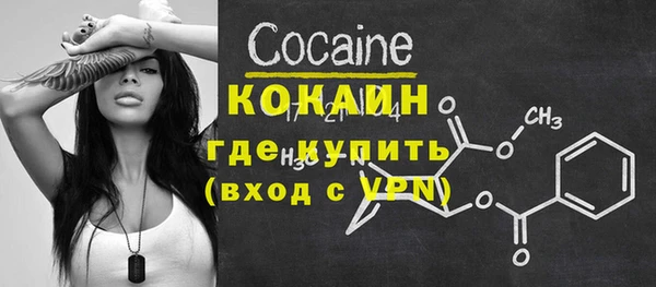 ПСИЛОЦИБИНОВЫЕ ГРИБЫ Строитель