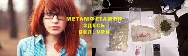 прущие грибы Осташков