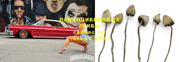 MDMA Осинники