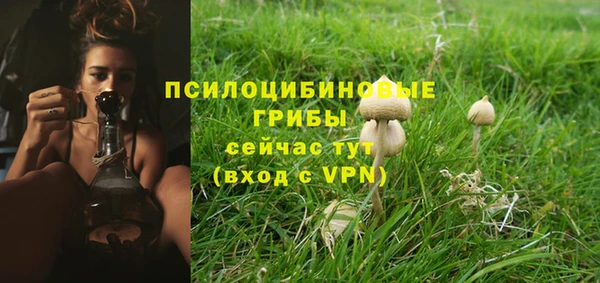 MDMA Осинники