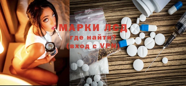 прущие грибы Осташков