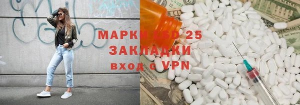 прущие грибы Осташков