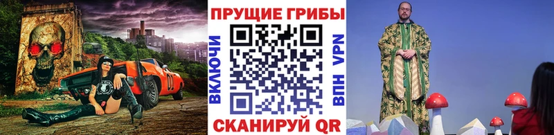 Галлюциногенные грибы GOLDEN TEACHER  Мурино 