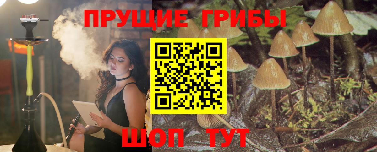 Галлюциногенные грибы GOLDEN TEACHER Мурино