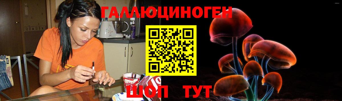 Галлюциногенные грибы MAGIC MUSHROOMS  Вход с VPN  Мурино 